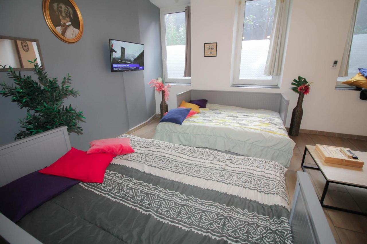 Calme En Centre Ville Appartement , Spacieux Et Renove A 50M De La Place Carnot Каркассон Экстерьер фото